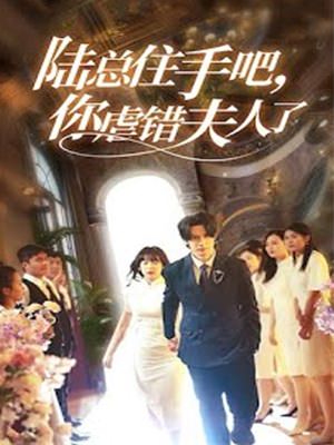 陆总住手吧，你虐错夫人了