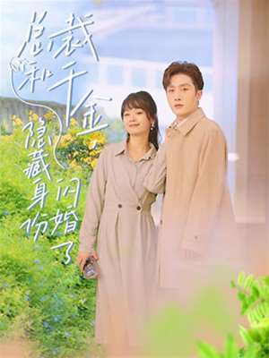 总裁和千金，隐藏身份闪婚了